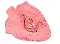 Bambini Pets лакомство Минеральный камень для птиц "Клубничка" #3