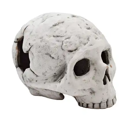 Купить zooexpress Грот Иж Череп для аквариума